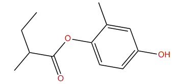 4-Hydroxy-2-methylphenyl 2-methylbutanoate